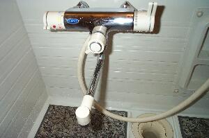 蛇口のクリーニング